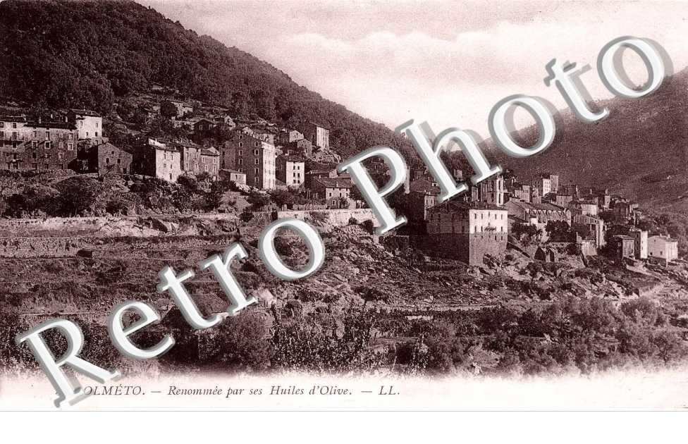 Renommee par ses huiles d'olives