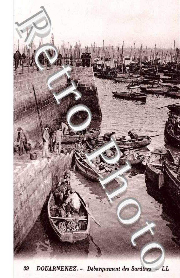 Le Débarquement des Sardines