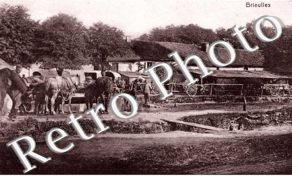 ferme et chevaux