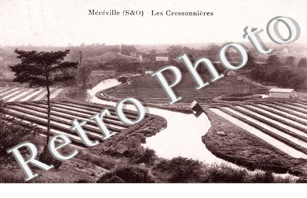 Les Cressonnieres