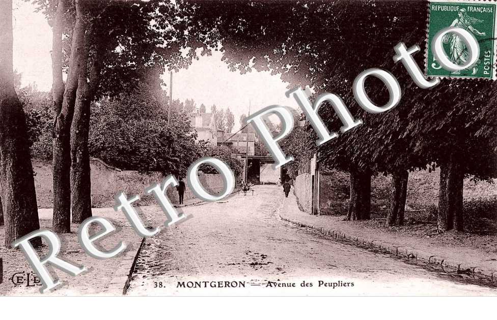 Avenue des peupliers