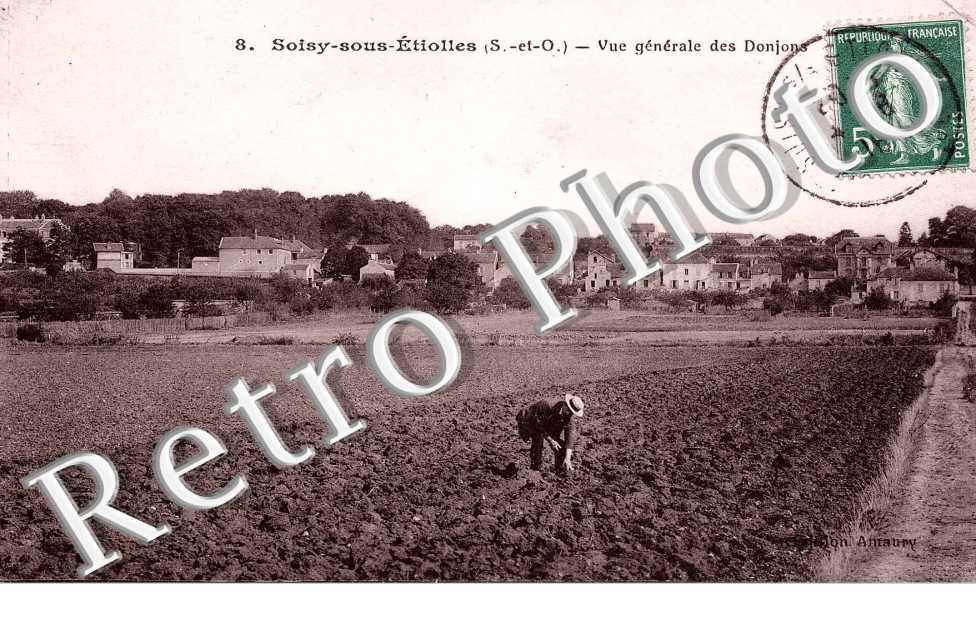 vue generale des Donjons