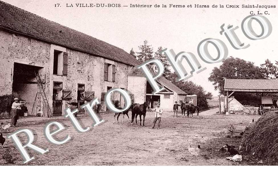 Interieur de la Ferme et Haras de la Croix Saint Jacques
