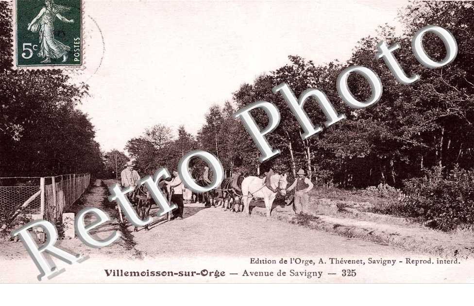 Avenue de Savigny - attelages de chevaux  - caleches