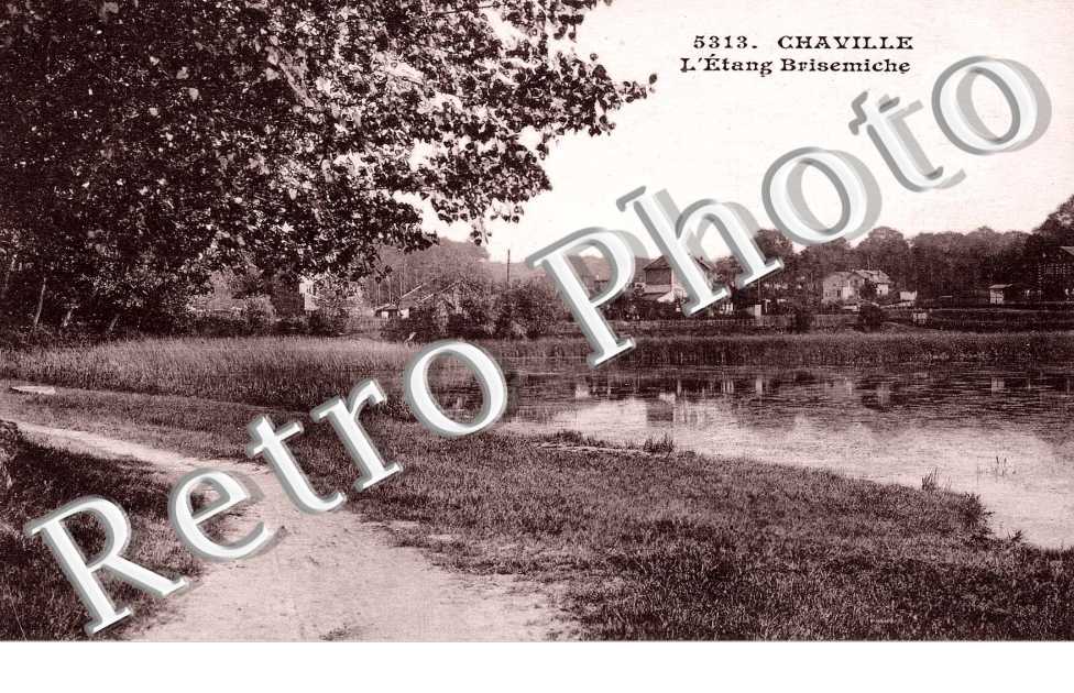 l'etang de Brisemiche