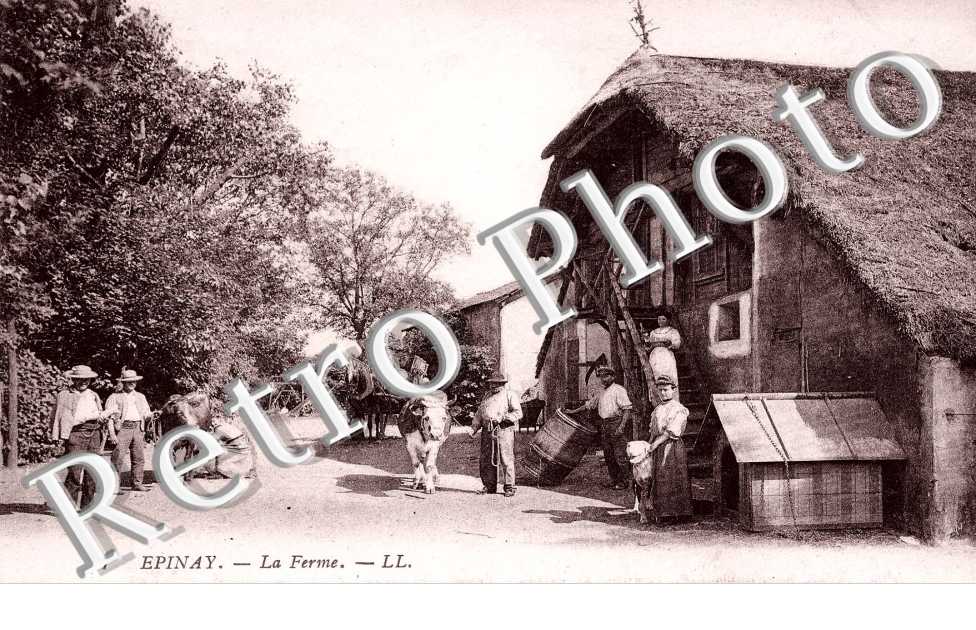 La ferme - elevage