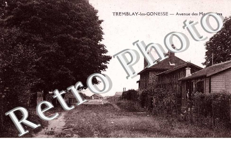 Avenue des Marronniers