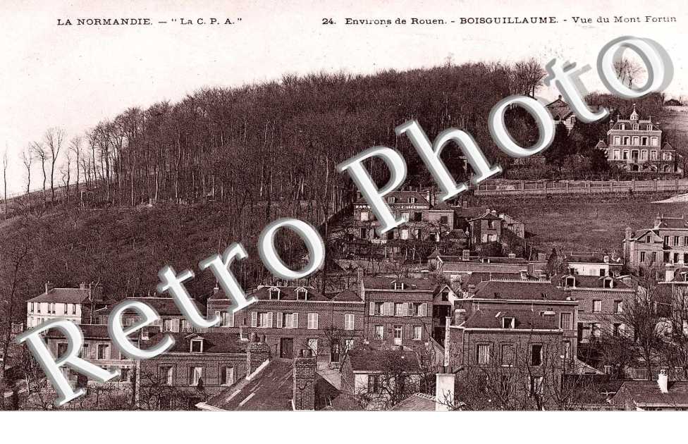 vue du Mont Forum