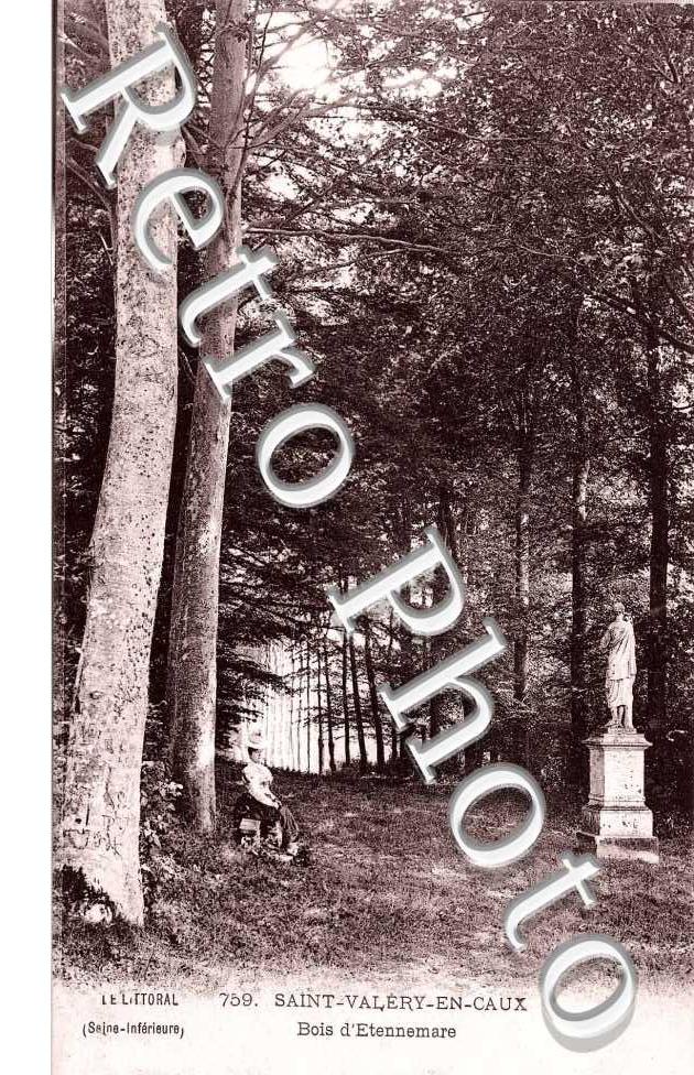 Bois d'Etennemare