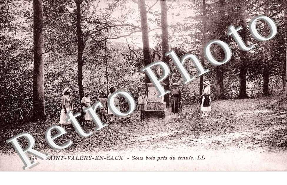 Sous bois pres du Tennis