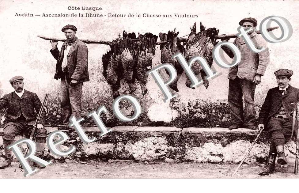 Ascension de la Rhune - retour de la chasse aux vautours