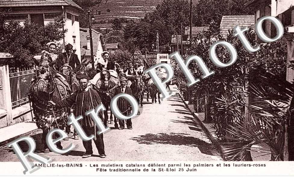 les muletiers catalans defilent parmi les palmiers et les lauriers-roses, fete de la Saint Eloi