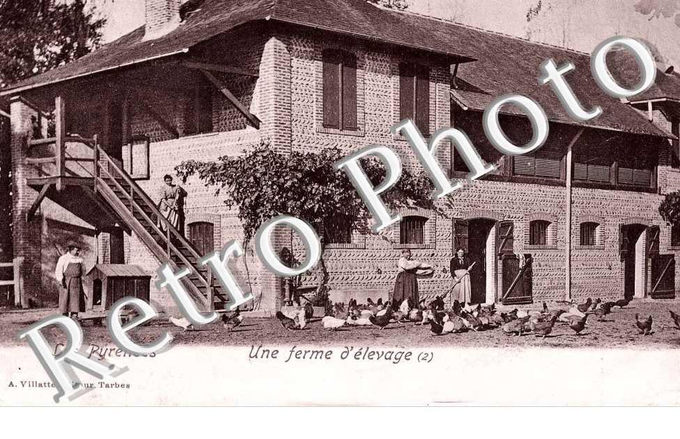 une ferme d'elevage