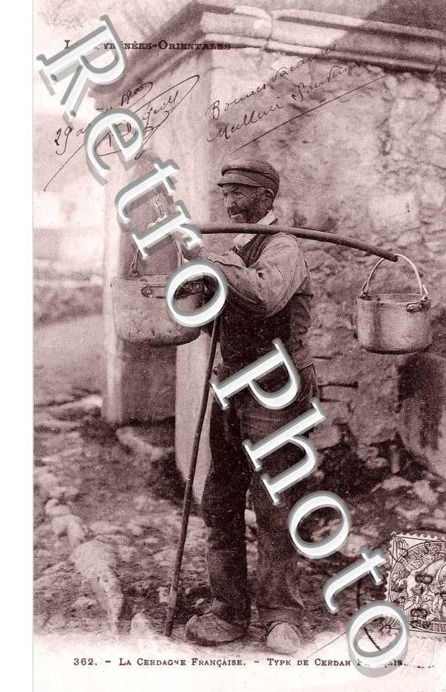 Type de cerdan francais