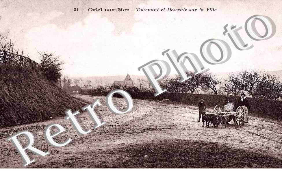 Tournant et descente sur la ville - Attelage de chiens