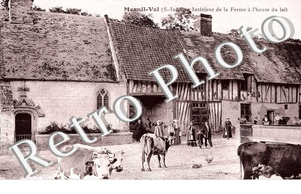 La ferme du clocher a l'heure du lait
