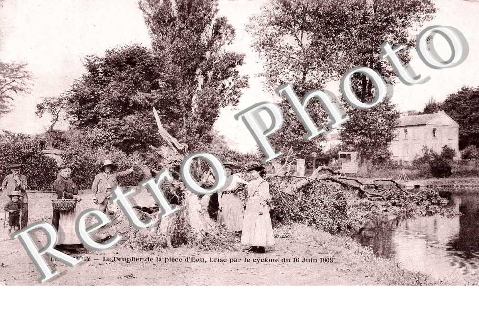 Le peuplier de la piece d'eau brise par le cyclone du 16 juin 1908