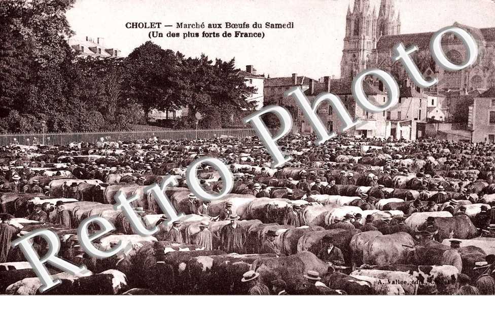 Marche aux Boeufs du Samedi