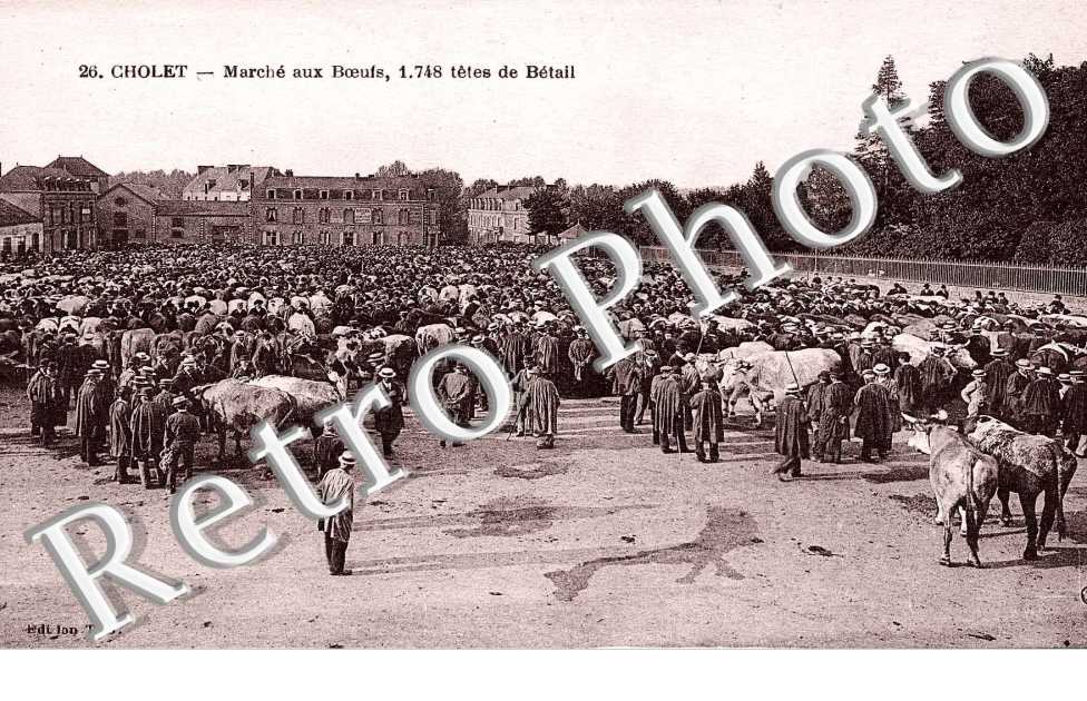 Marché aux Boeufs 1748 - têtes de bétail