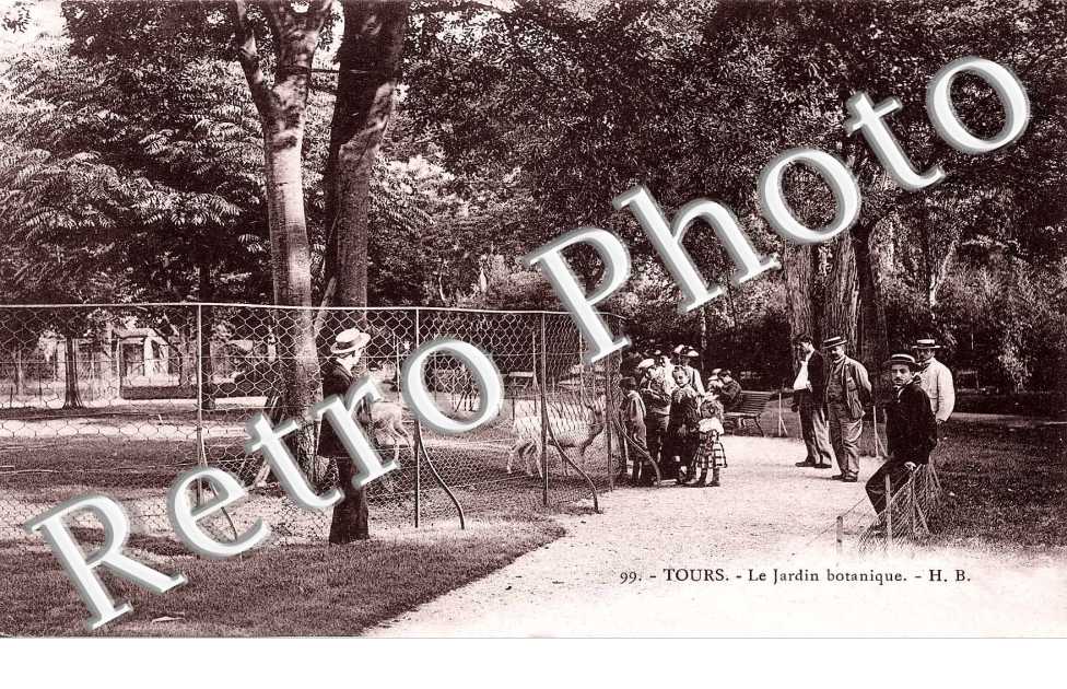 le jardin botanique