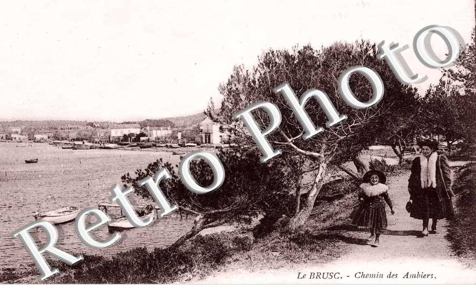 chemin des Ambiers