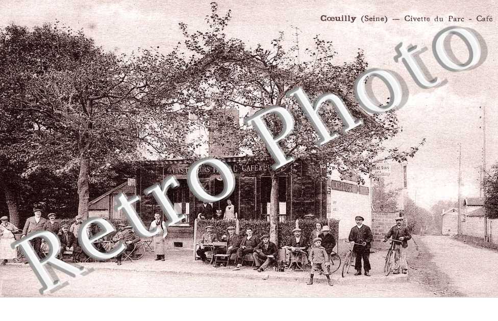 Coeuilly Civette du parc