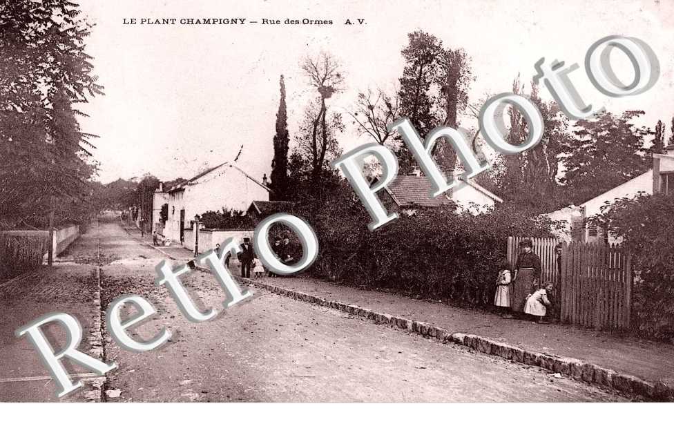 Le Plant Champigny, rue des Ormes