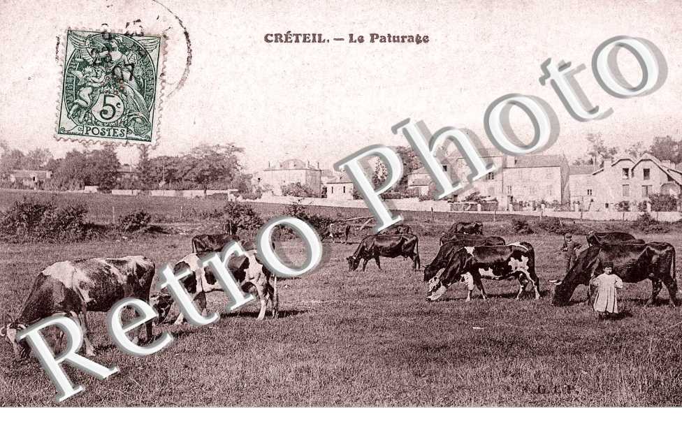 le paturage