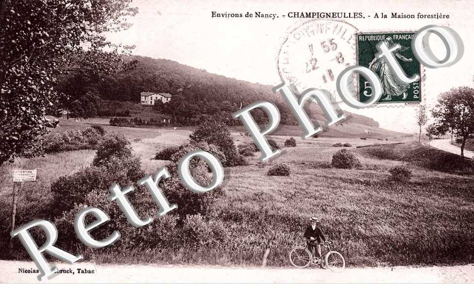 Maison Forestiere
