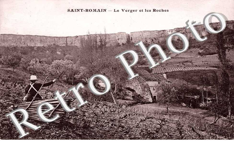 LE VERGER