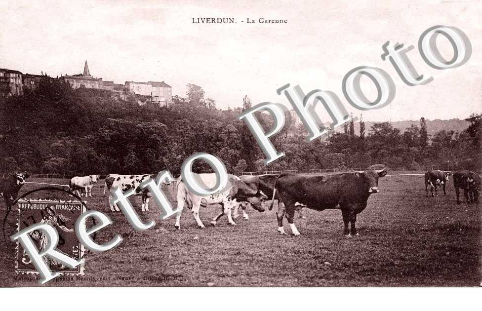 la Garenne (animaux)
