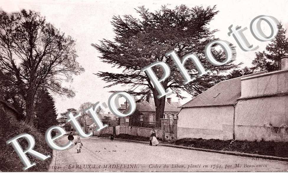 la MADELEINE