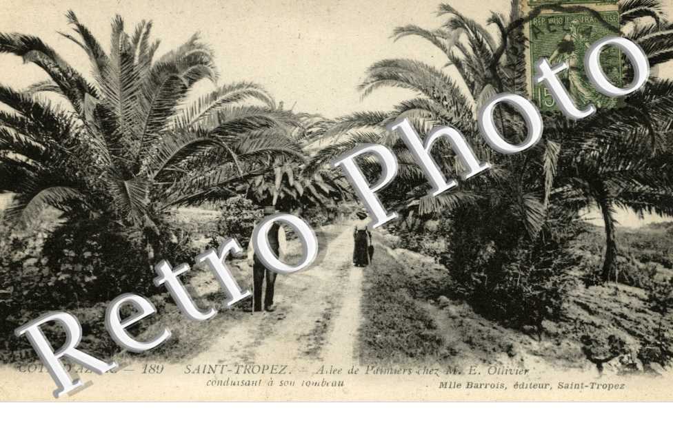 allee de Palmiers chez M. E. Ollivier conduisant a son tombeau