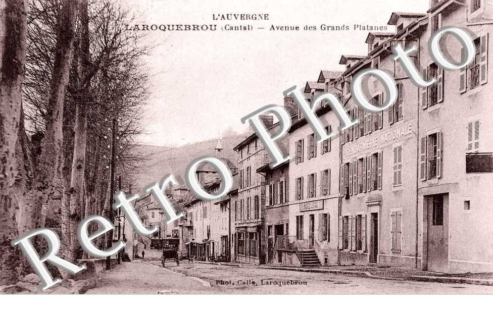 avenue des grands platanes