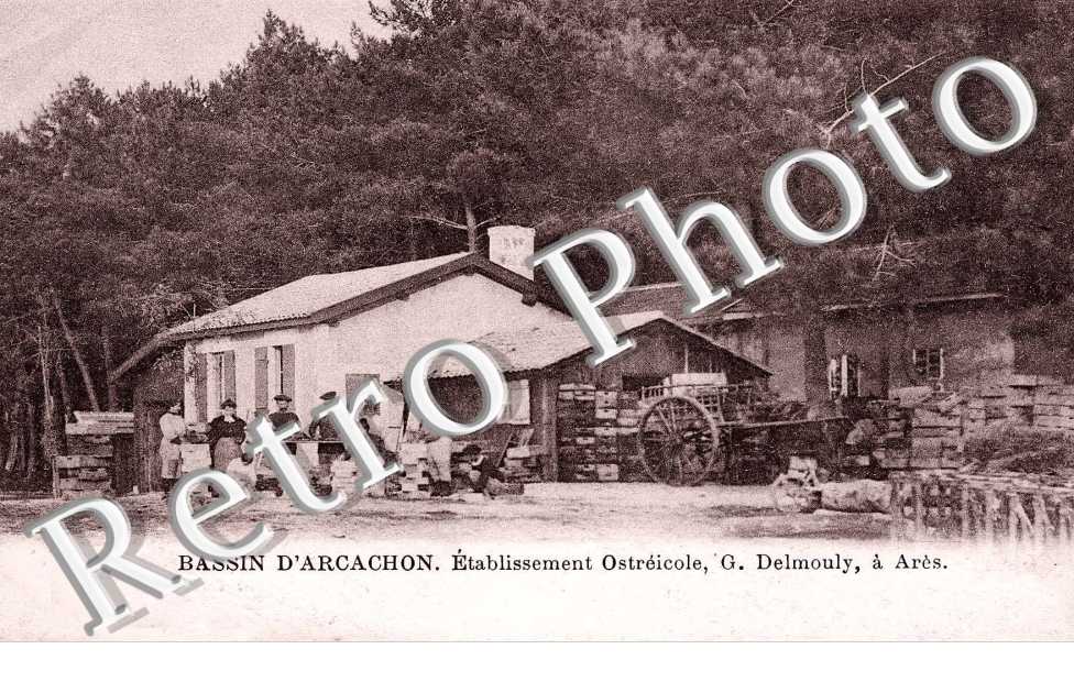 ETABLISSEMENT OSTREICOLE G. Delmouly