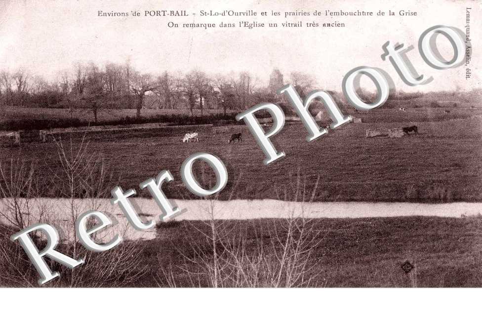 Prairies de l'embouchure de la grise