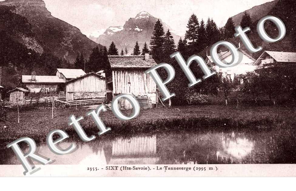 Le tanneverge