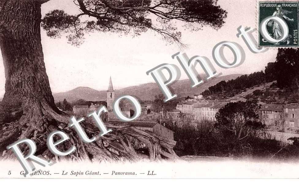 Le sapin Geant - Panorama