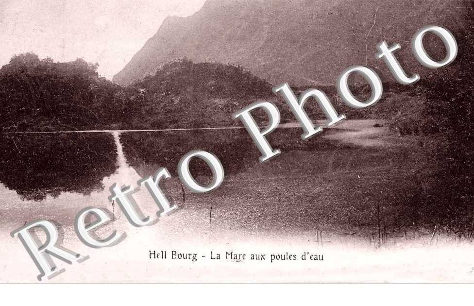 La Mare aux poules d'eaux