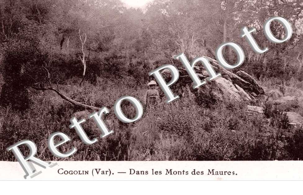 Dans les Monts des Maures