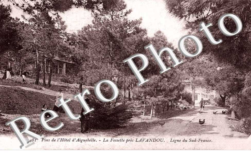 Pins de l'Hôtel d'Aiguebelle