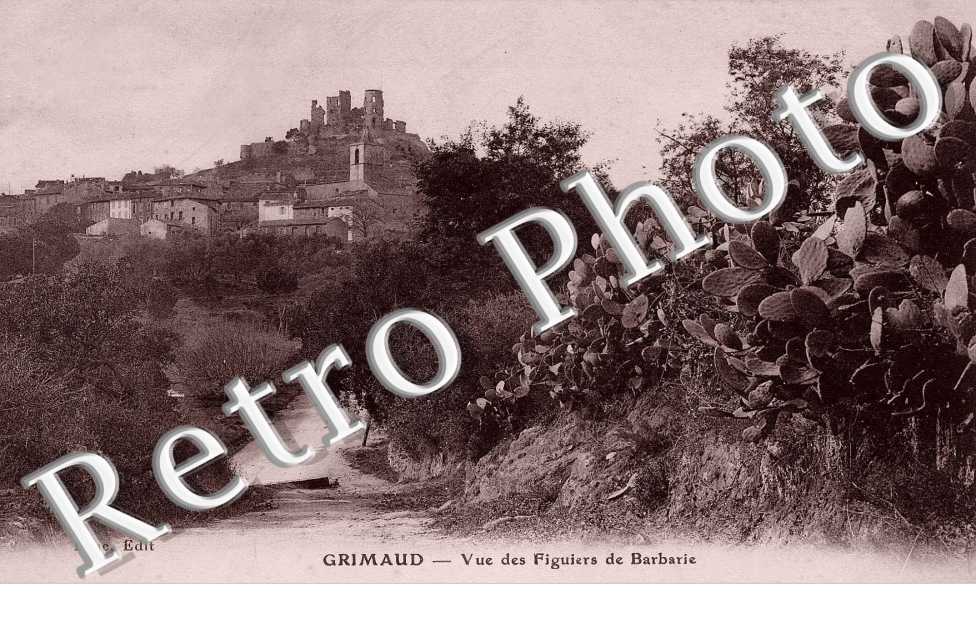 Vue des Figuiers de barbarie