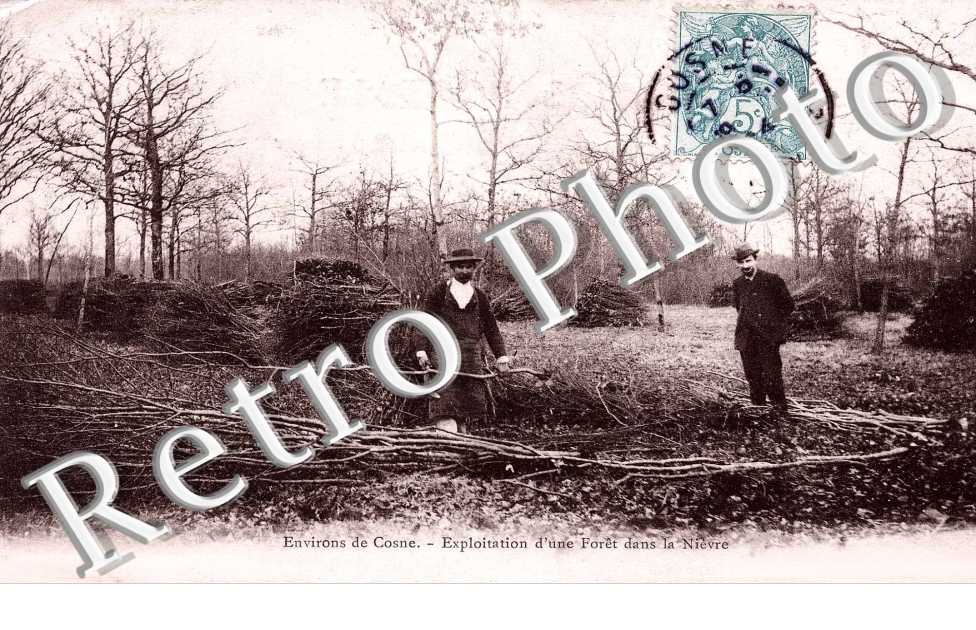 exploitation d'une foret
