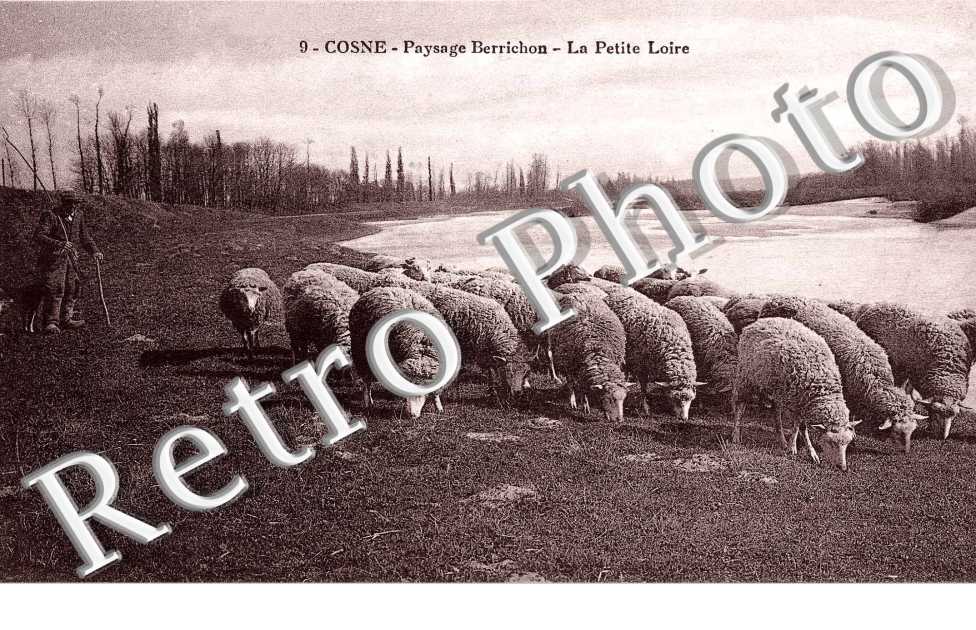 la petite  Loire