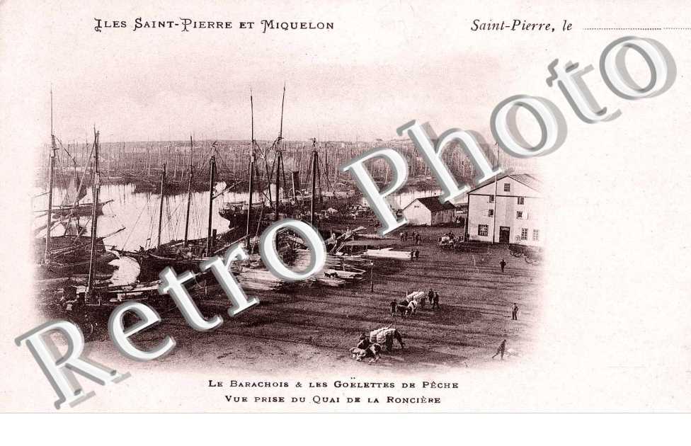 LE BARACHOIS ET LES GOELETTES DE PECHE