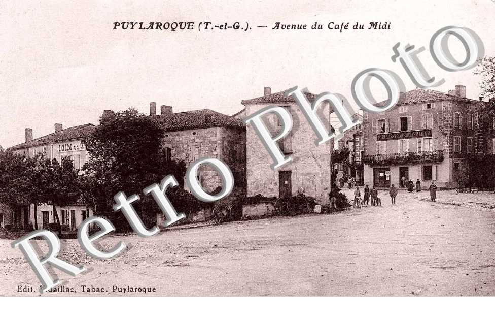 Avenue du Cafe du Midi