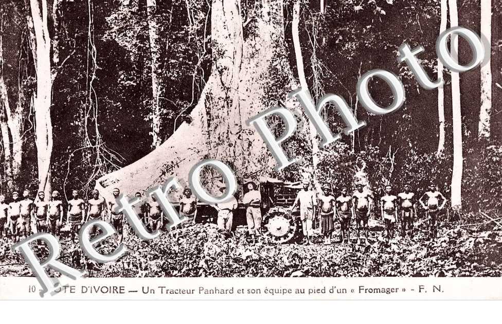 Un Tracteur Panhard et son équipe au pied d'un fromager