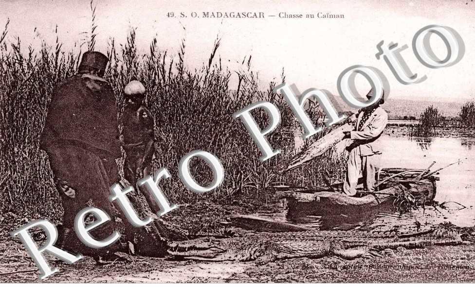 chasse au Caiman