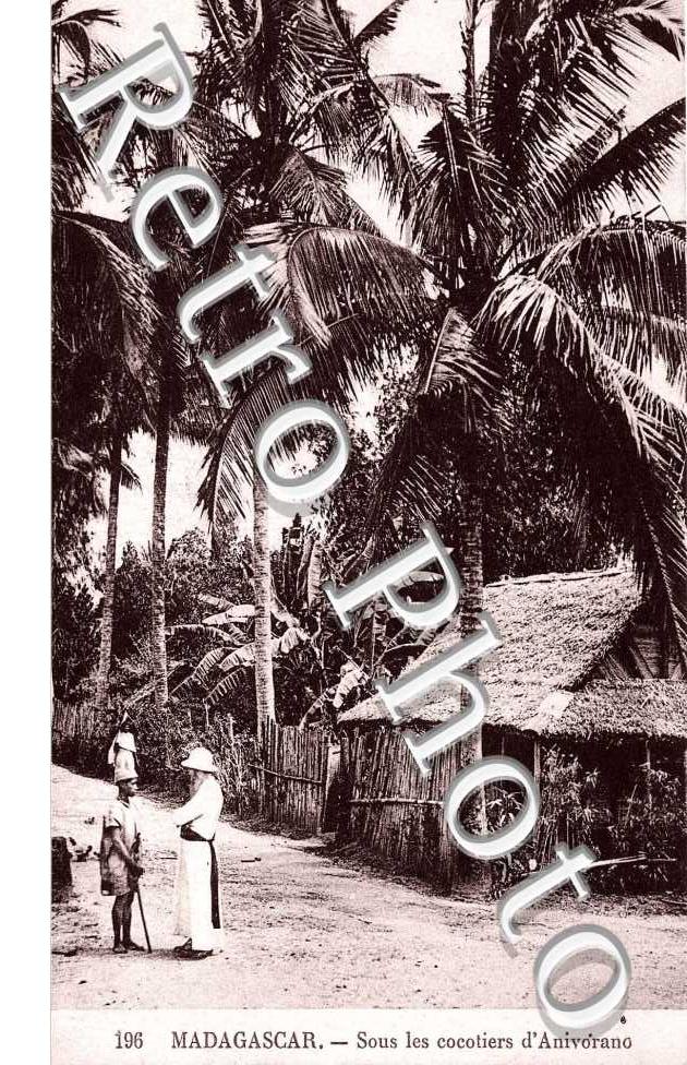 Sous les Cocotiers