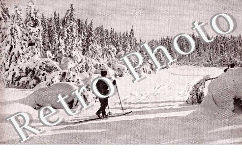 Un Skieur
